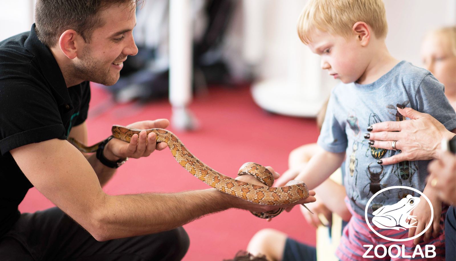 Science Explained Myth-busting Creatures at Winchester Science Centre